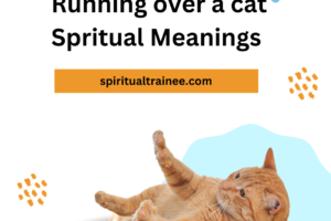 Running over a cat spritual meanings